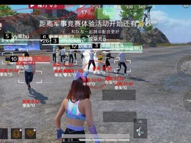 <strong>和平精英双屏透视</strong>